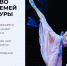 Для участников СВО и их семей работает портал о мерах поддержки в сфере культуры - Город Арзамас