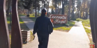 В Александрове полиция усмирила гуляк из парка «Сосенки» - Владимирские Ведомости