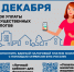 Оплата налогов: вклад каждого в будущее Дагестана - Министерство транспорта