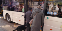 Как в Воронеже заговорили автобусы - ГТРК Воронеж