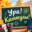 Осенние каникулы: орских школьников ждет спортивная смена в лагерях дневного пребывания - Город Орск