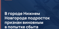 В городе Нижнем Новгороде подросток признан виновным в попытке сбыта наркотических средств - СУ СК РФ