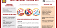 О профилактике сибирской язвы - Роспотребнадзор Чувашии