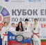 Спортсмены Ростовской области завоевали 10 медалей на Кубке Евразии по всестилевому каратэ - Министерство по физкультуре и спорту