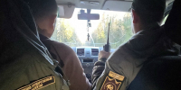 Собака в нацпарке — риск для всех: в нацпарке «Зюраткуль» проверят туристов - GovoritSatka.Ru
