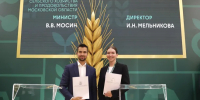 Картинка - Regions.Ru