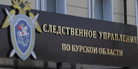 В Железногорске женщина побила полицейских - Газета Железногорские новости