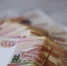 Минэкологии требует с нарушителя почти 2 млн рублей за незаконную свалку в Домодедове - Вести Подмосковья