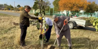 В сёлах Кочубеевского округа высаживают молодые растения - Телеканал СвоёТВ