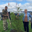 В Алагире высадили «Аллею Славы» в память о погибших участниках СВО - Ossetia.News