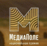 Вологодские блогеры в финале премии «МедиаПоле». - Кичменгско-Городецкий муниципальный округ