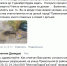 В Белгороде жителям улицы Привольной велели ждать отопления до 9 декабря - Fonar.Tv