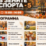 Осень – время спорта и веселья! - Городской округ Красногорск