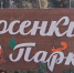 В Александрове наказали мужчин, приставших к маме с ребенком в парке «Сосенки» - Комсомольская правда