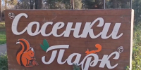 В Александрове наказали мужчин, приставших к маме с ребенком в парке «Сосенки» - Комсомольская правда