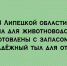 Надёжный тыл для животноводства: корма в Липецкой области уже заготовлены с запасом - Народное слово