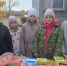 Итоги минувшей недели (с 14 по 20 октября) - Кизильский вестник