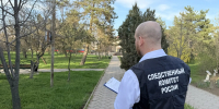 В Ипатовском округе двое подростков обвиняются в вымогательстве - СУ СК РФ