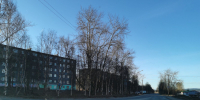 Домашний скандал северян закончился уголовным делом - Телекомпания ТВ-21