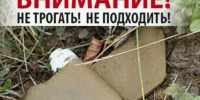 Минная опасность в лесу для жителей приграничных территорий. - Валуйский городской округ