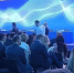 Картинка - Regions.Ru