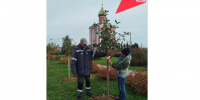 Уважаемые краснояружцы!. - Краснояружский район