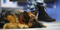 В Волгограде силовики проводят профилактические мероприятия - Волга-Медиа