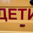 Школьный автобус будет ходить в поселок Селекционной станции в Кстовском районе - фото 1 - vGorodeN.Ru