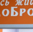 Александр Шуваев сообщил о награждении белгородских волонтеров почётными знаками «Доброволец России» - Сетевое издание Новое время 31