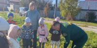 «Сохраним лес»: в лесничествах Мордовии высадили новые деревья и заложили аллею памяти - ГТРК Мордовия