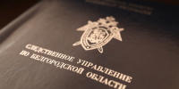 В Белгородской области посредник во взяточничестве осужден к лишению свободы - Следственный комитет