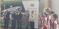 Определены победители спартакиады среди учащихся кадетских классов СКР - Город Пенза