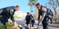 В Астрахани озеленяют обновленные улицы: высадили уже сотни деревьев - Сетевое издание Арбуз
