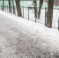 Фото: ПАИ - InformPskov.Ru