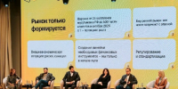Талия Минуллина: «Китай и Турция — лидеры среди зарубежных инвесторов Татарстана» - Комсомольская правда Казань