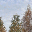 25bd0931-f60c-4b46-9734-f61438bfe4bb - Рязанские ведомости