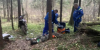 Трагедия в лесу у деревни Дидяково (Чехов): мужчина погиб из‑за падения сухого дерева - Chehov-Vid.Ru