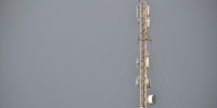 Развеян миф о влиянии 5G на новгородцев - 53news.Ru