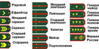 Самарцам предлагают получить бесплатное образование - ТРК Скат