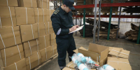 Таможенники рассказали о страшных находках в посылках - Петербургский дневник