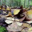 article23553.jpg - 59i.Ru