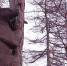 В Магадане -1, -5°C, переменная облачность - Газета Магаданская правда