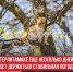 пост 1 - Cityopen.ru