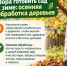 Как правильно провести осеннюю обработку деревьев - Газета Тетюшские зори