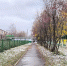 Фото Анны Зубаревой - Iskitim-Gazeta.Ru