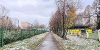 Фото Анны Зубаревой - Iskitim-Gazeta.Ru