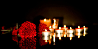 Фото:TANYARICO/Shutterstock/Fotodom - Ямал-Медиа