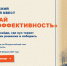 Фото: Зеленые вузы России - САФУ имени М.В. Ломоносова
