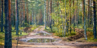 Картинка - Regions.Ru