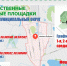 В великолукской деревне Дубрава-2 обустроили новые контейнерные площадки для ТКО - Pln-Pskov.Ru